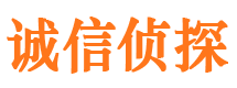 齐河小三调查